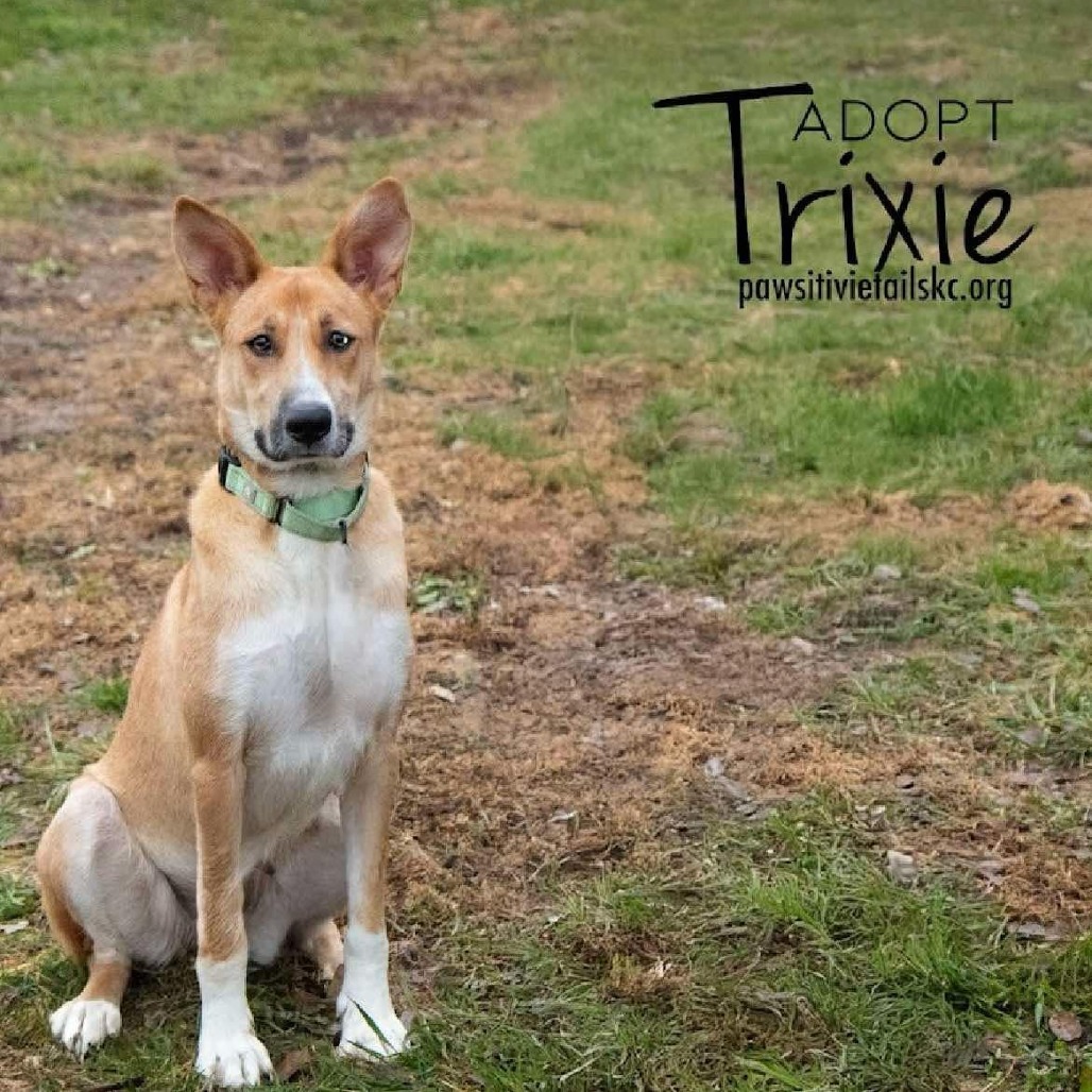 Trixie