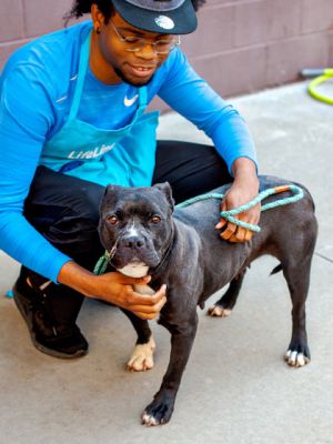 Free Soul has fans She was the star of one of our visiting groups We are told she is polite