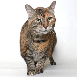 Oanna, Senior Female unknown