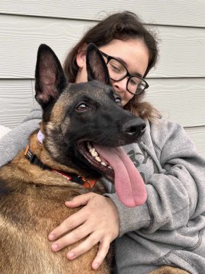 Animal Profile Looking for a partner in crime Meet Felon Hes around 18 months old and 55lb neute