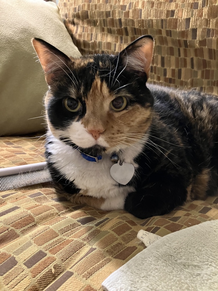 Patches