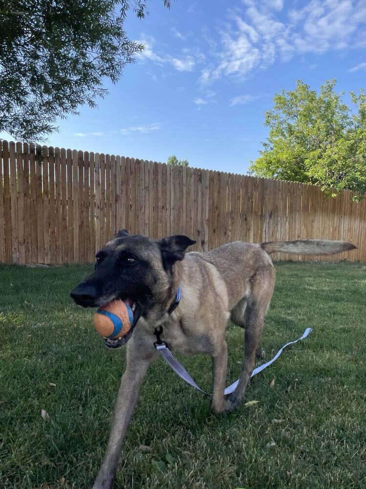 Eva - Located in Oklahoma