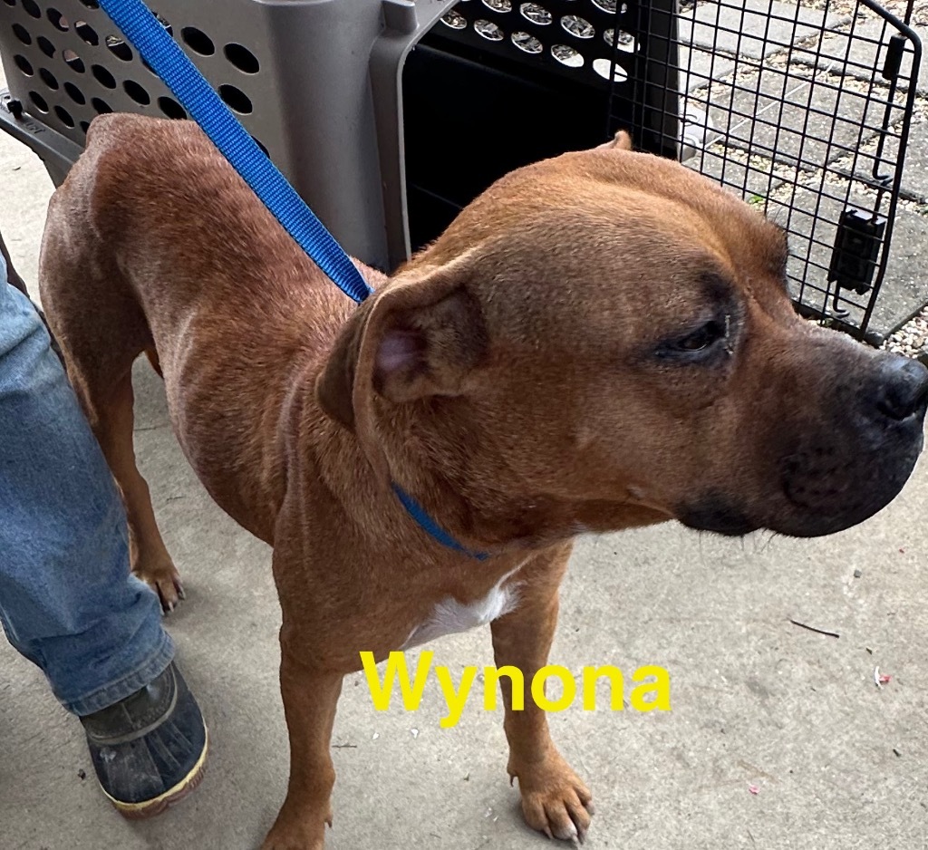 Wynona