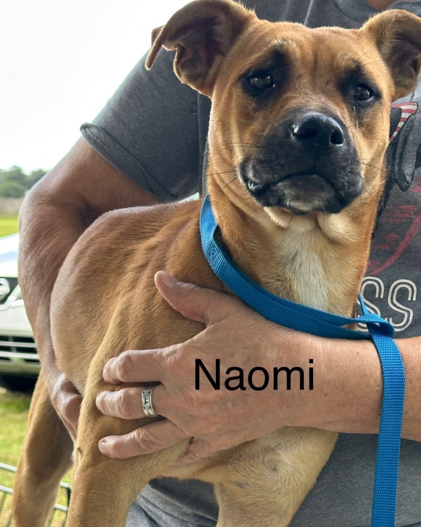 Naomi