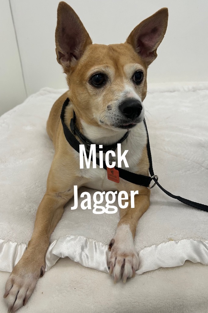 Mick Jagger