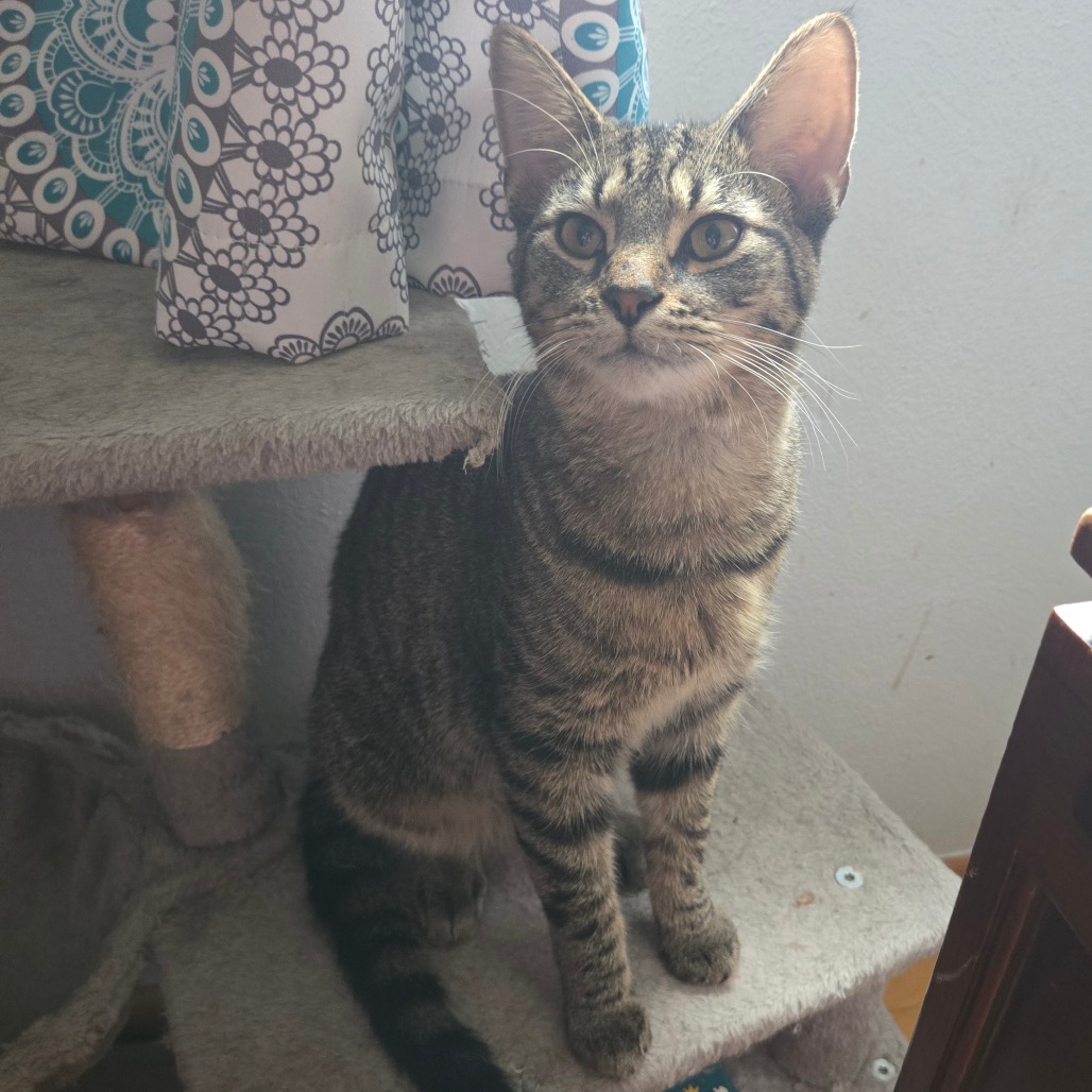 Ralphie