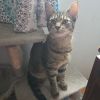 Ralphie photo 1