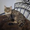 Ralphie photo 2