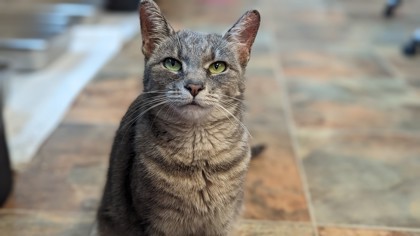 Jamie