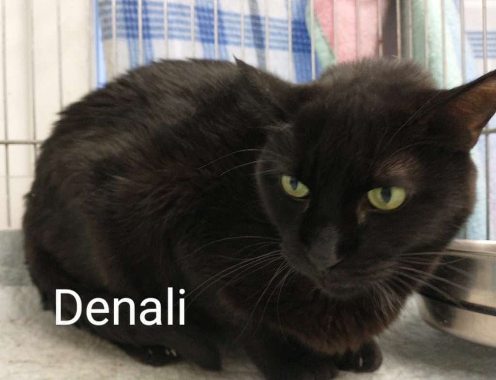 Denali