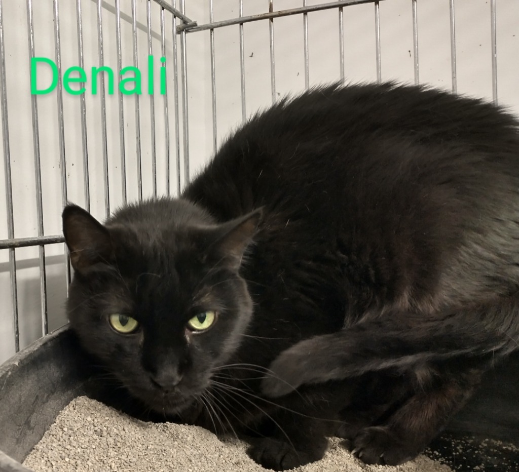 Denali