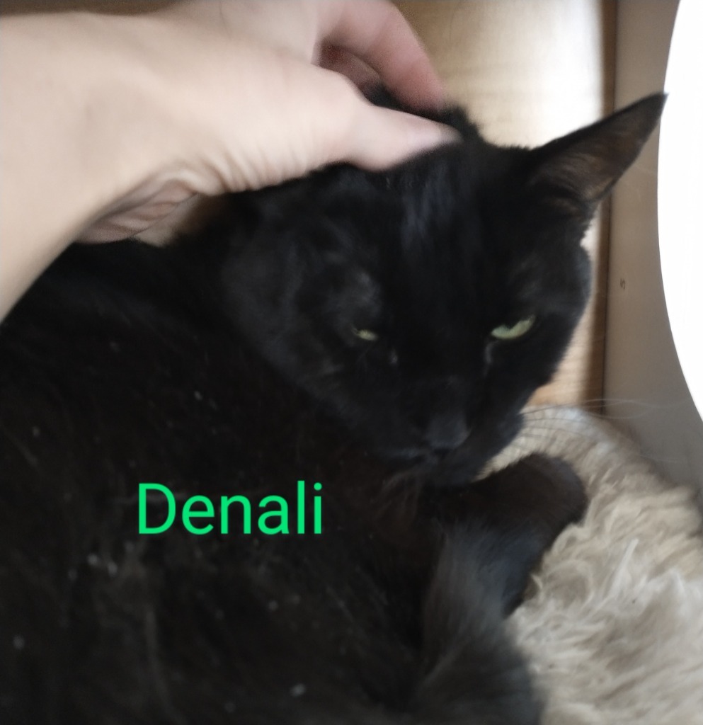 Denali