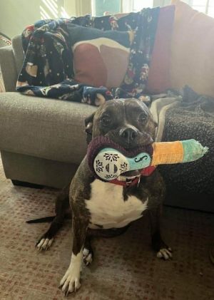 Rosie