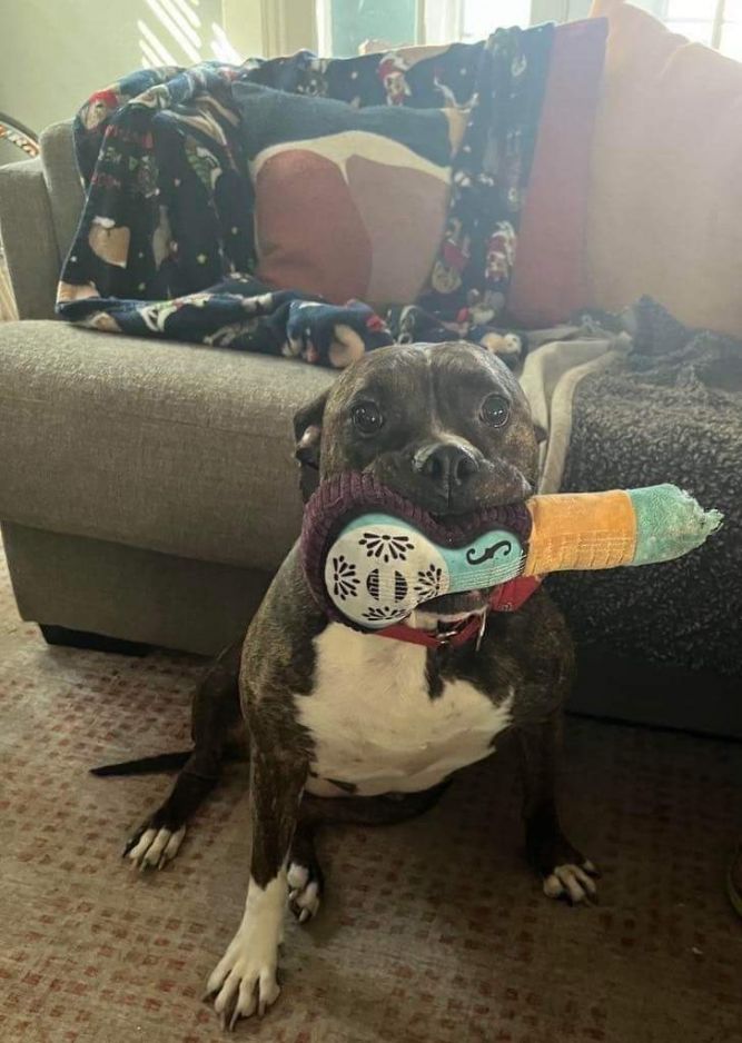 Rosie