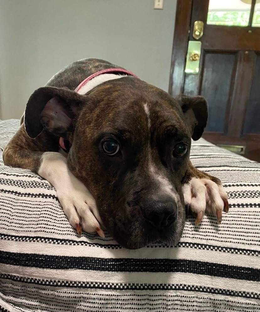 Rosie
