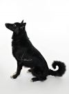 Magic photo 5