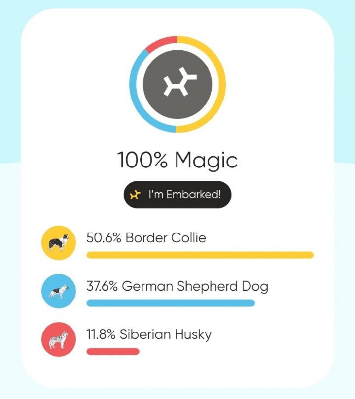 Magic 6