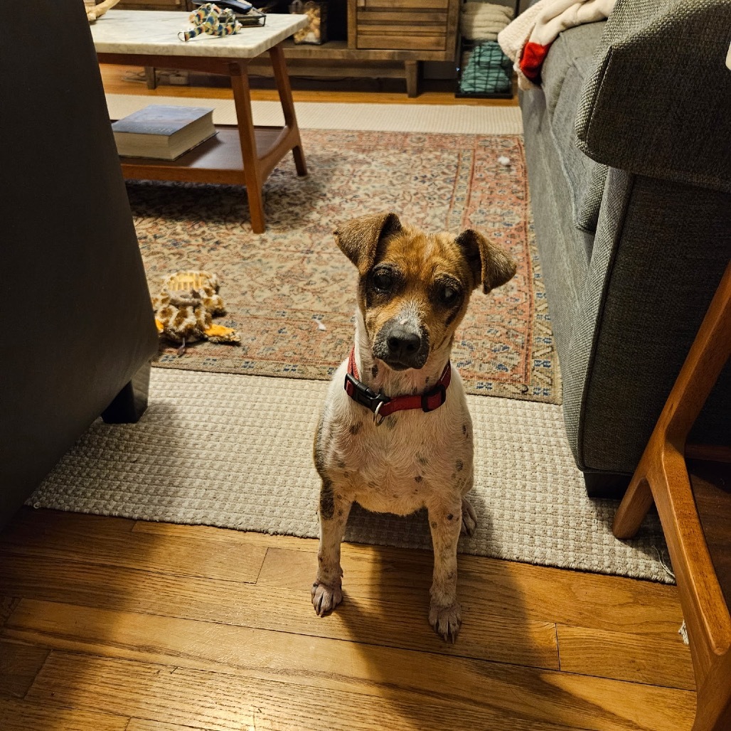 Rosie