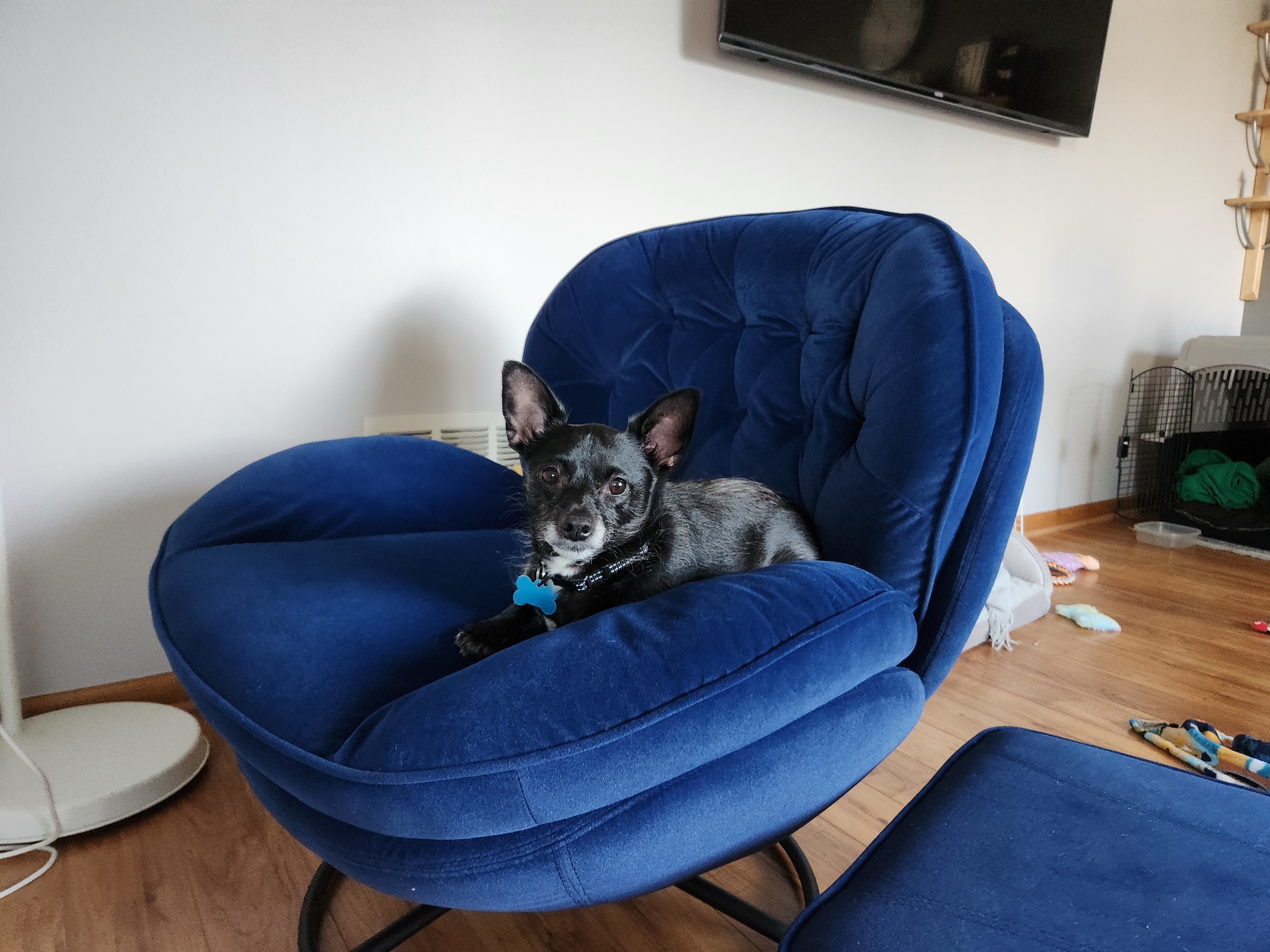 Pablo