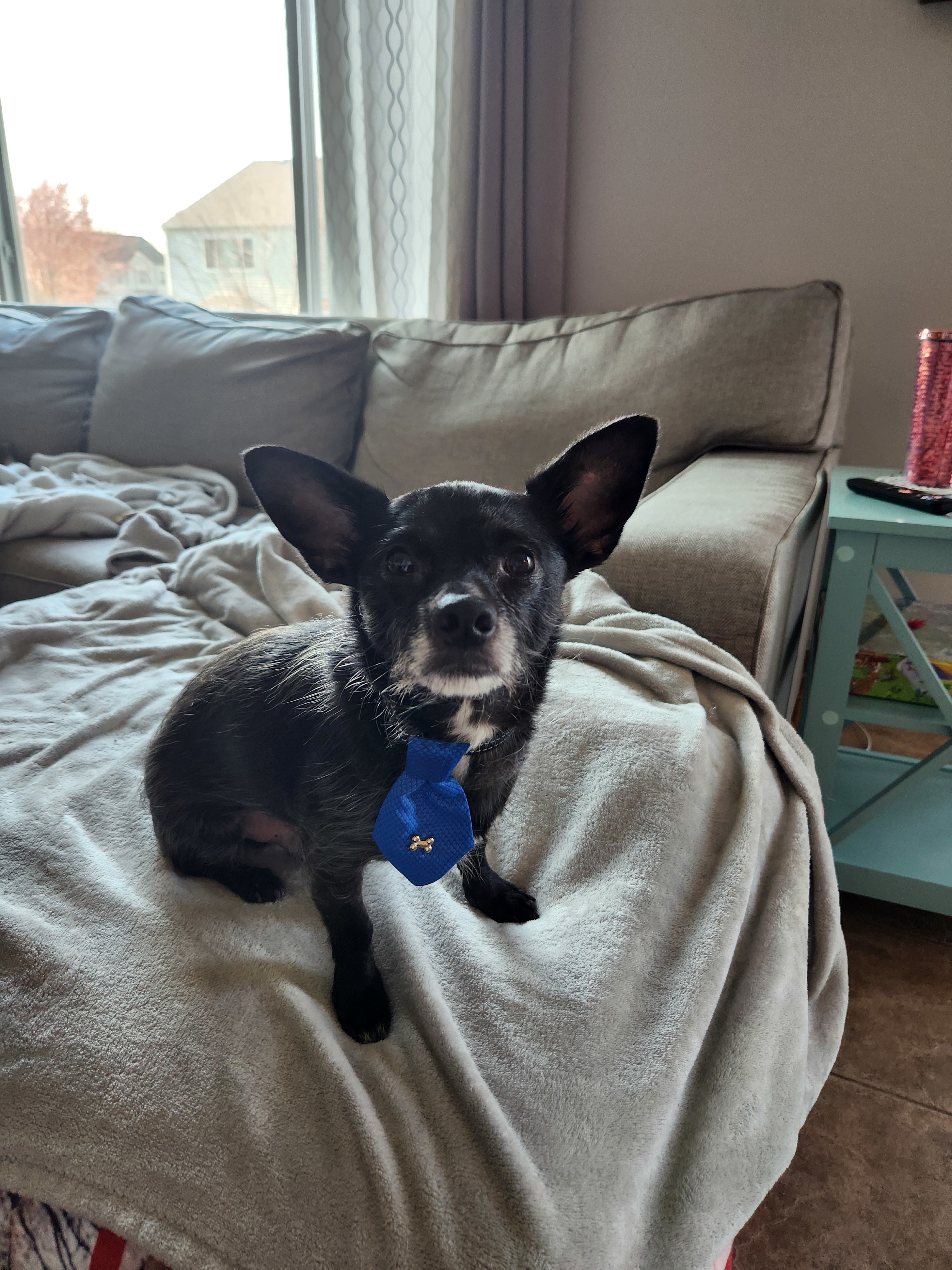 Pablo