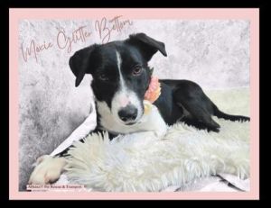 Moxie Glitter-Bottom, Young Female unknown