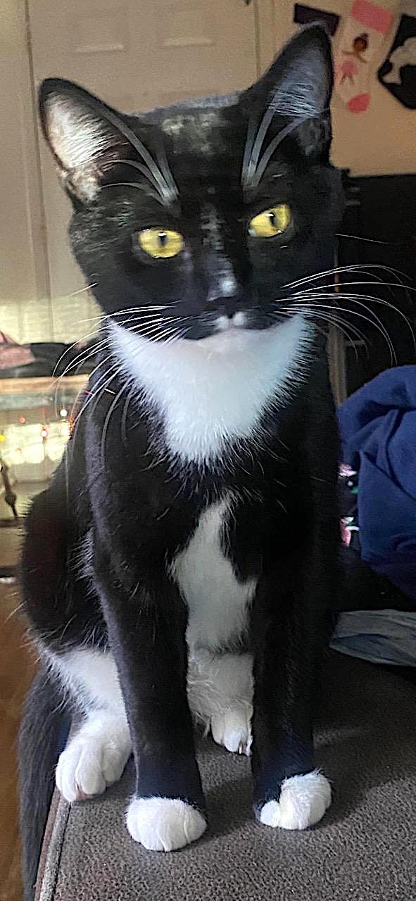Tuxey
