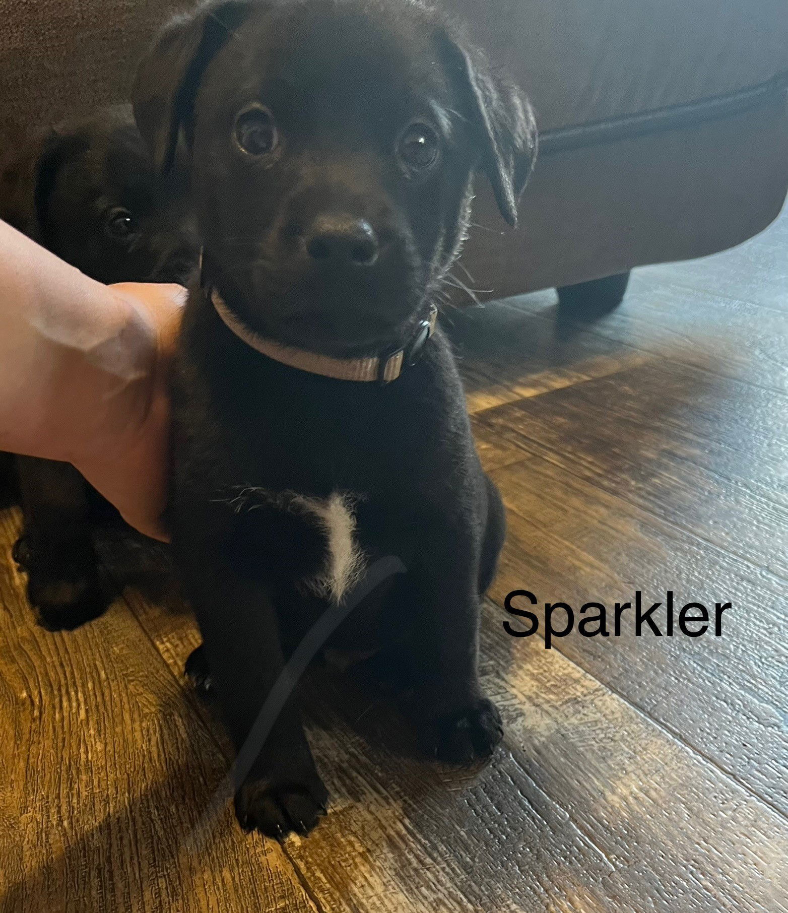 Sparklers