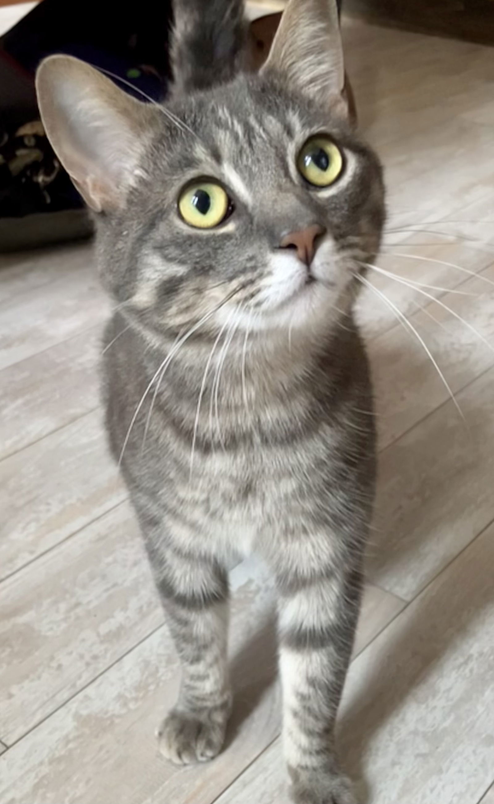 Edgar