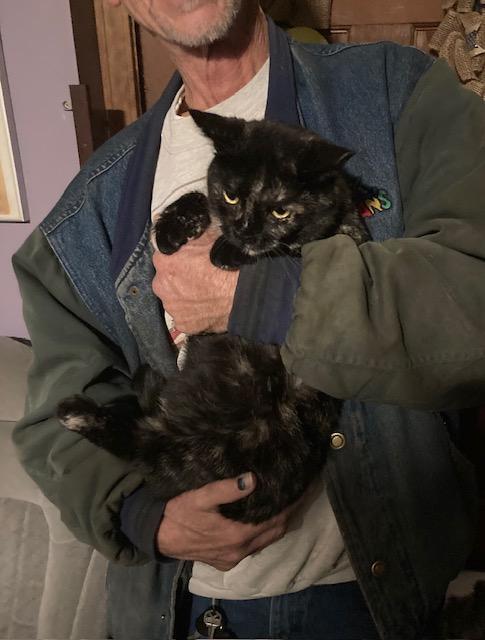 Torti