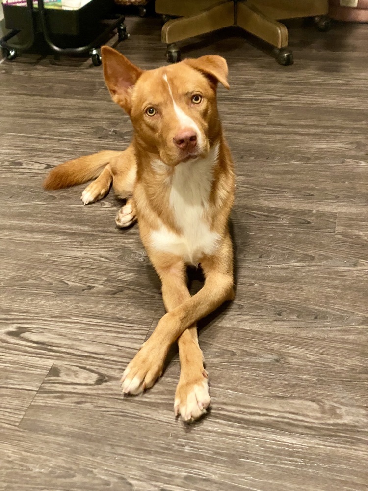 Copper