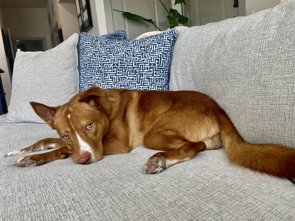 Copper