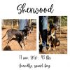 Sherwood photo 1