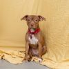 Maggie photo 3
