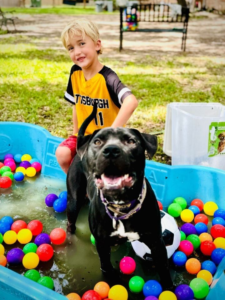 Derrick the toy-loving water splashing best boy 4