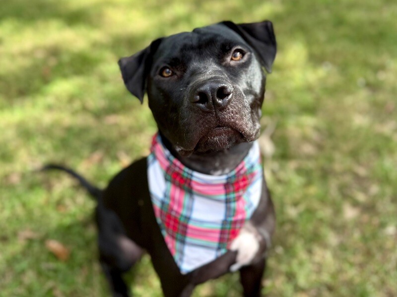 Derrick the Toy-Loving, Water-Splashing Best Boy