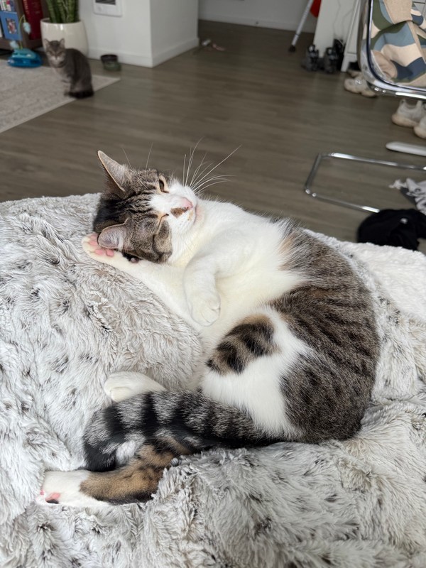 Oona