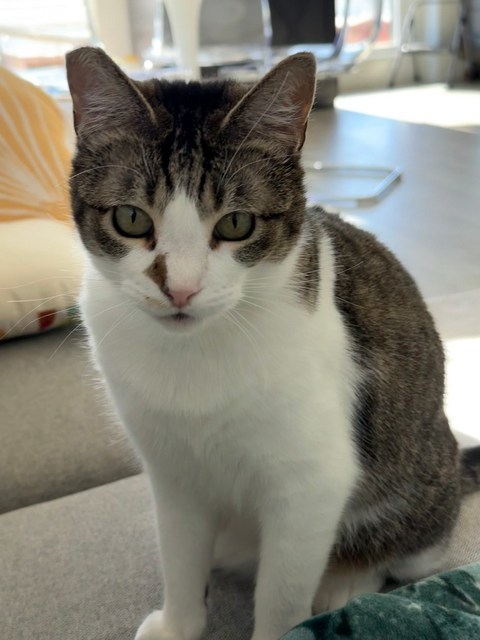 Oona