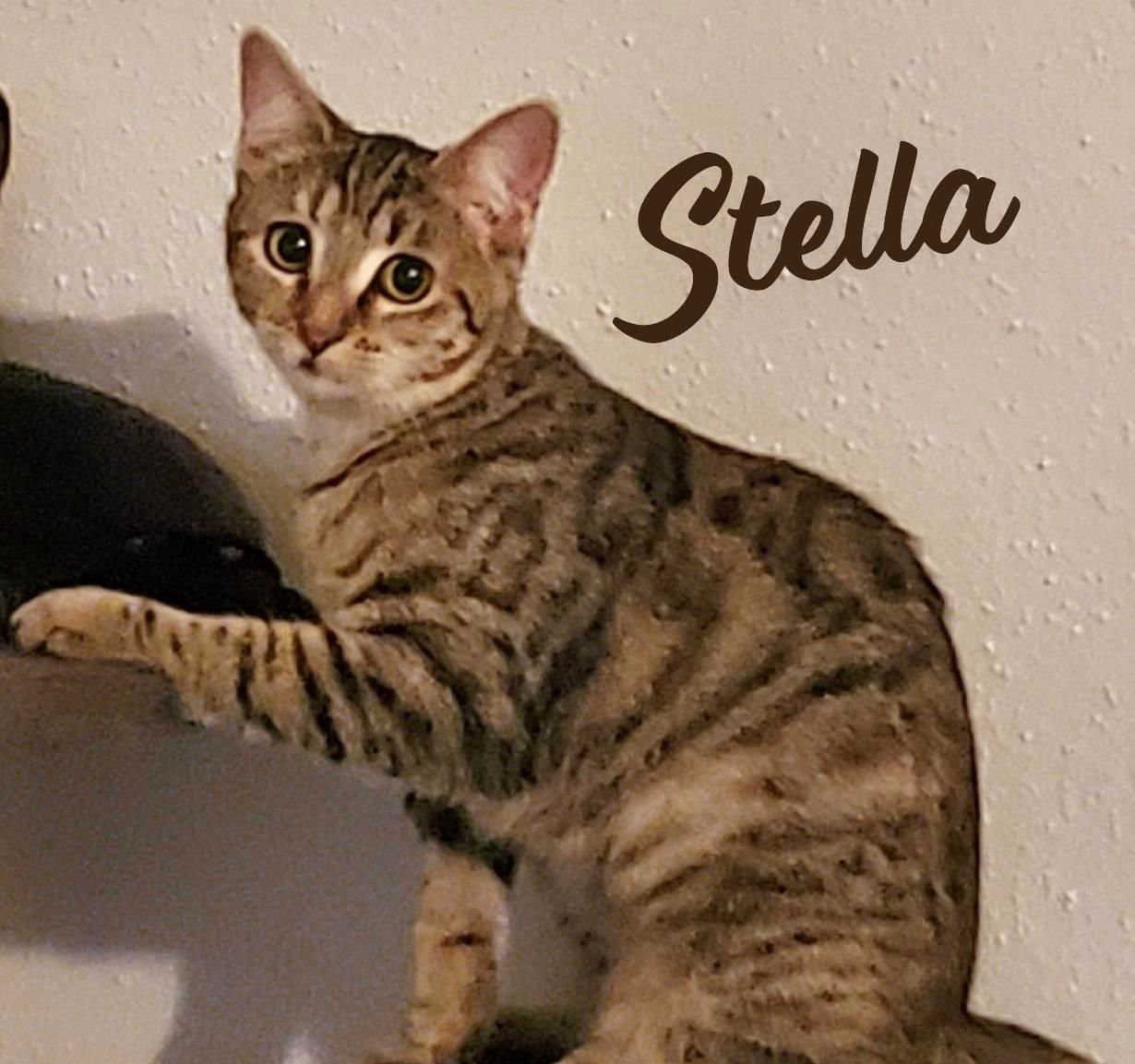 Stella #boo-oop-a-doop