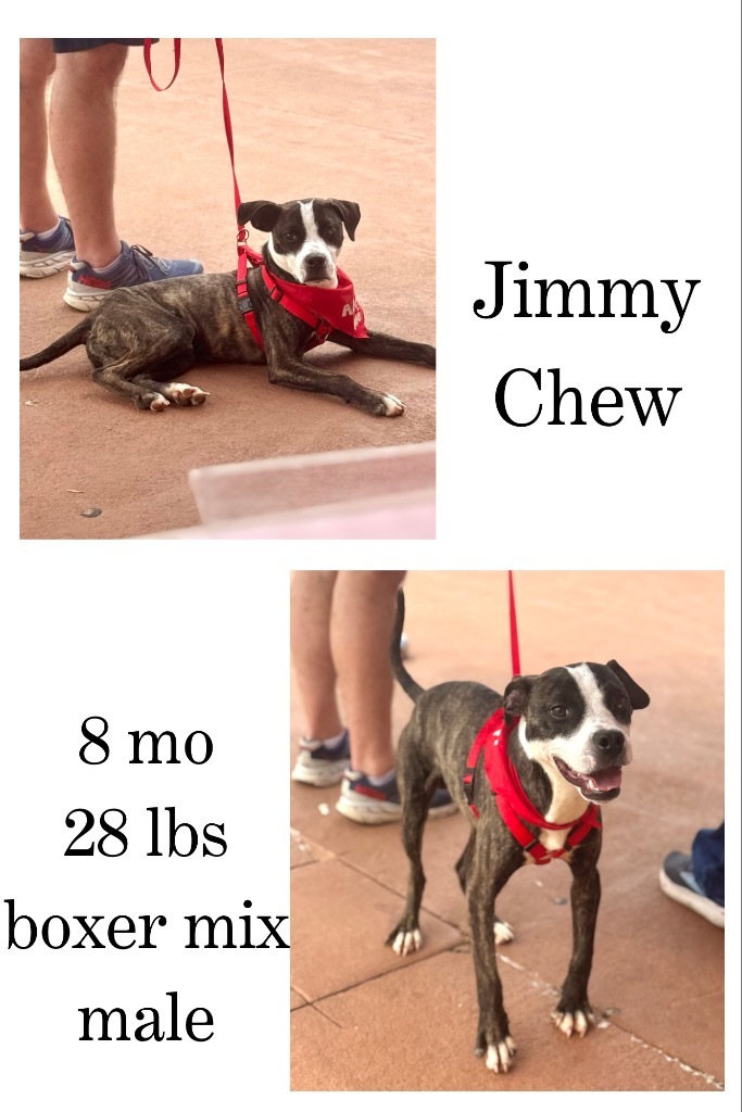 Jimmy Chew