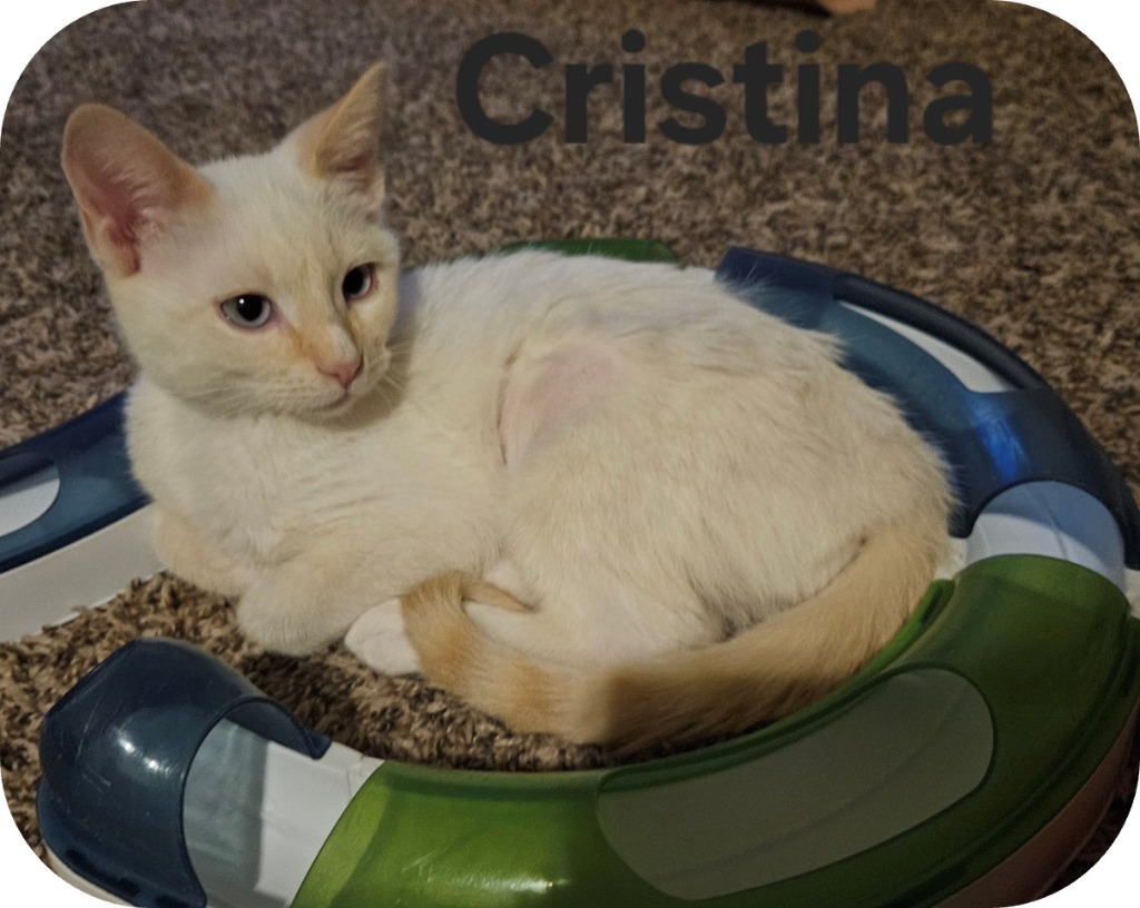 Cristina