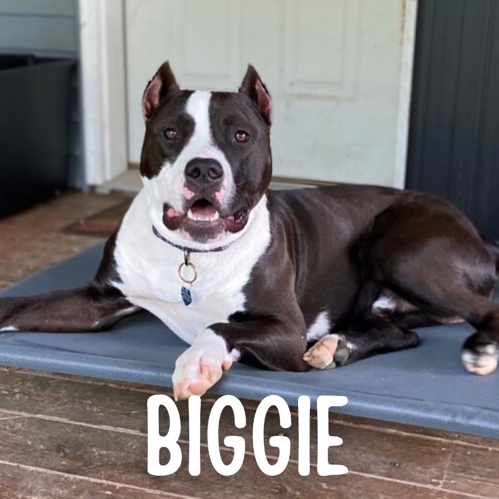 Biggie