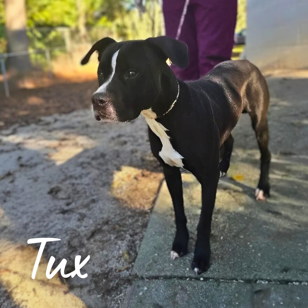 Tux