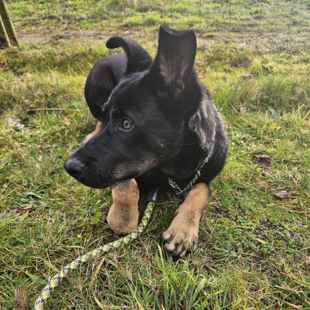 Mateo