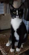 Milo photo 3