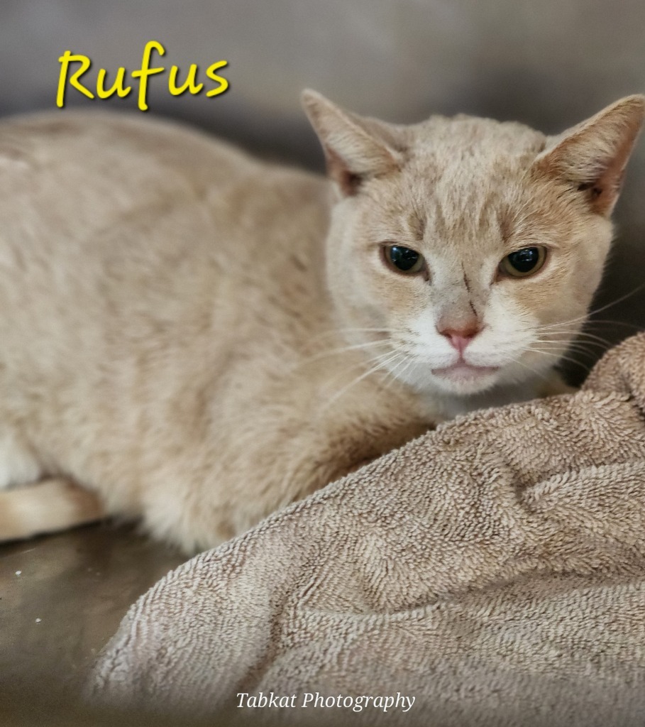 Rufus