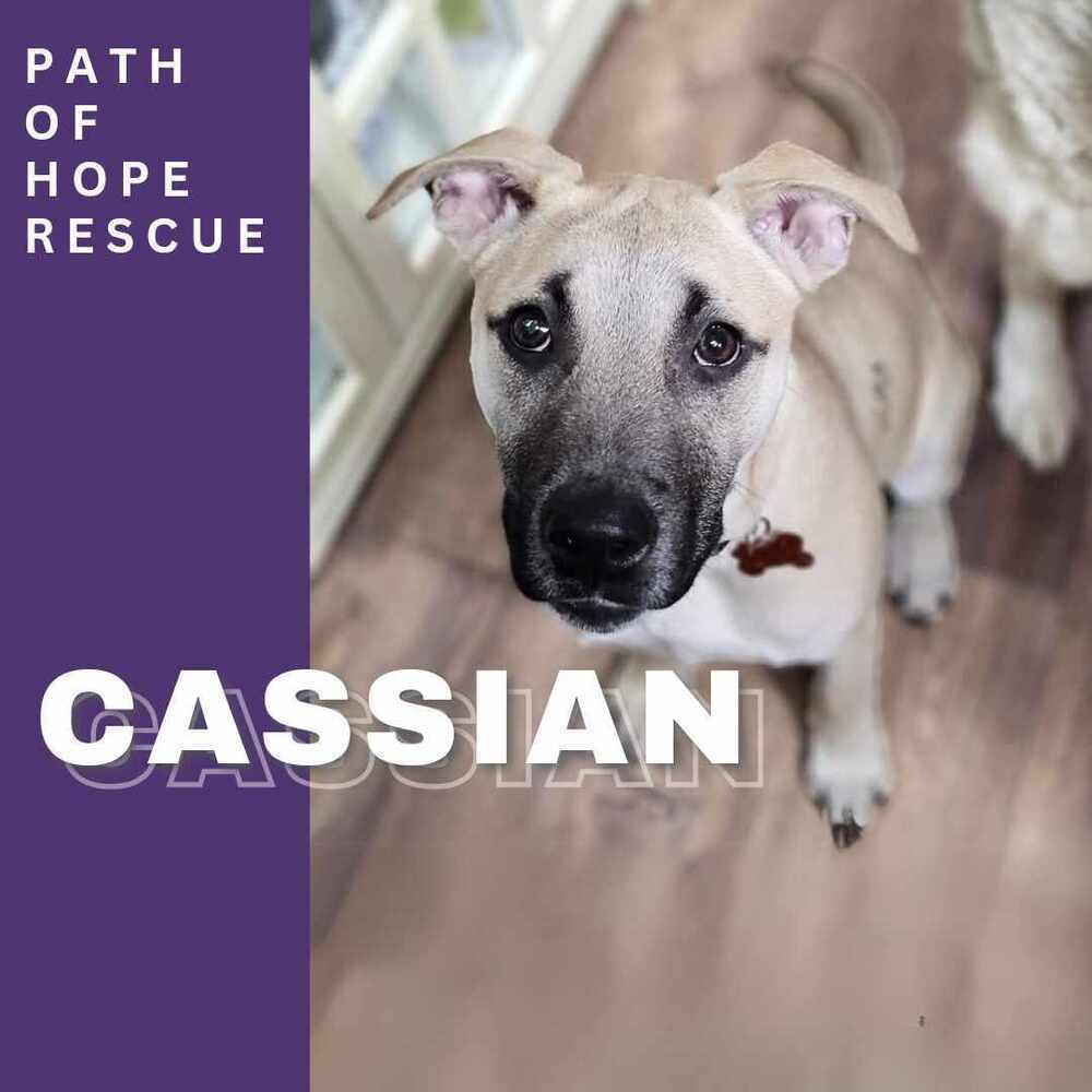 Cassian