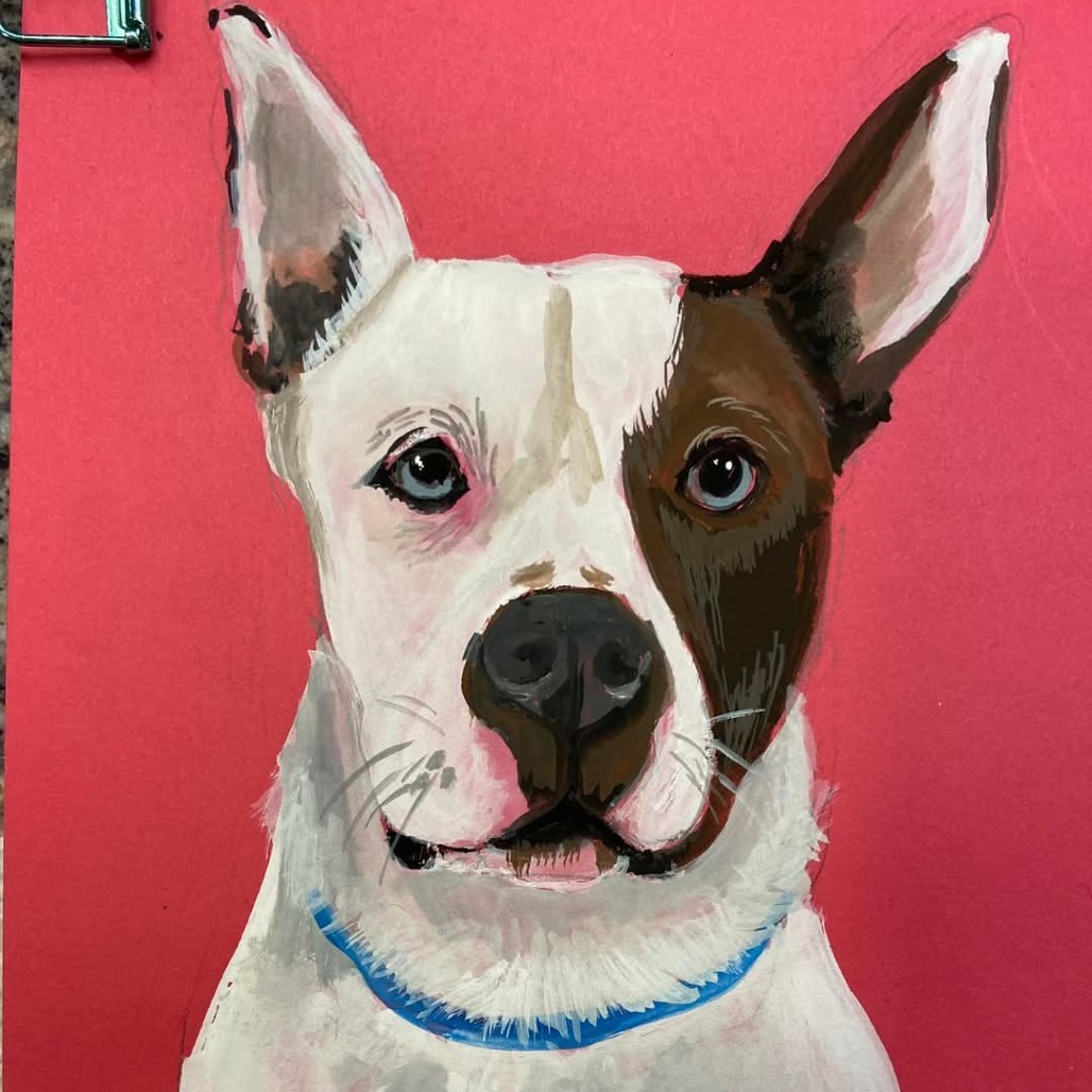 Thor, an adoptable American Staffordshire Terrier, Pit Bull Terrier in Park Falls, WI, 54552 | Photo Image 4