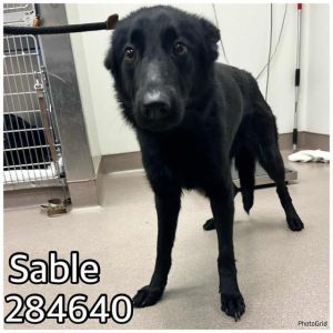 SABLE