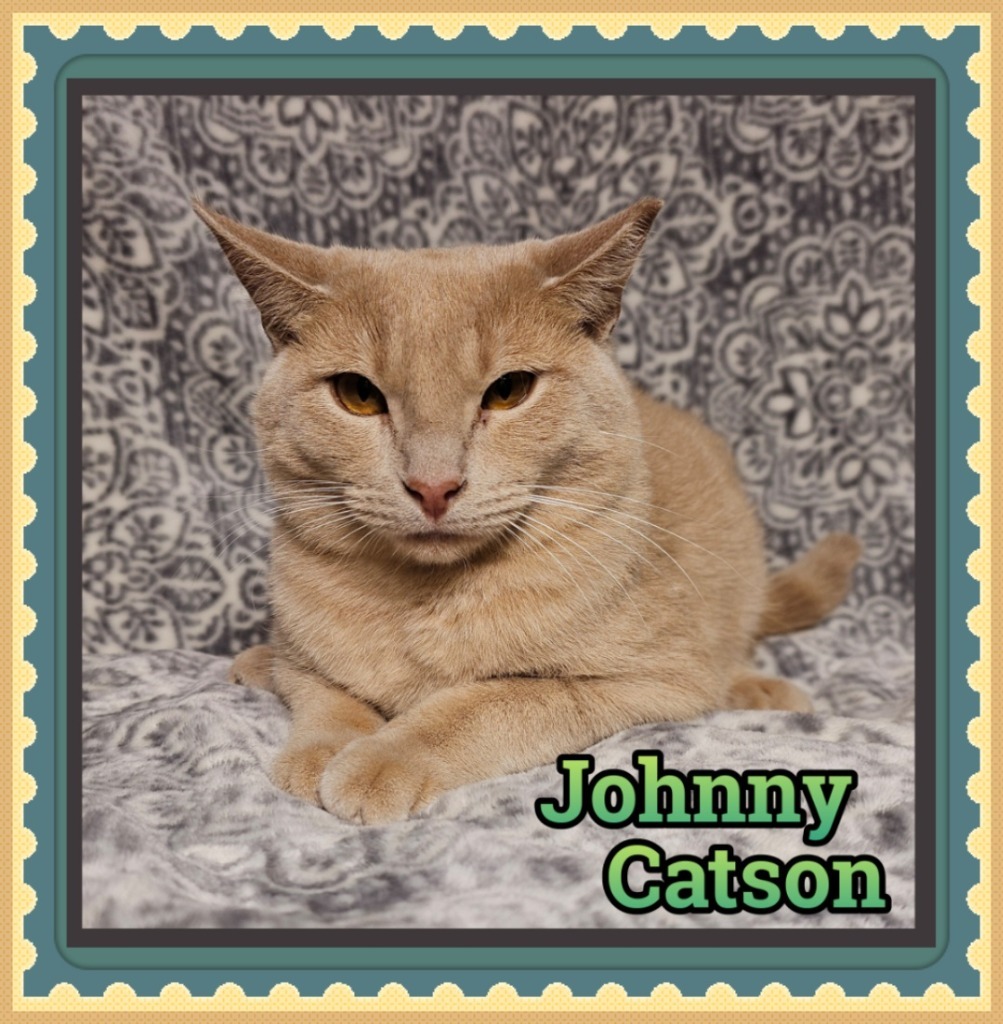 Johnny Catson