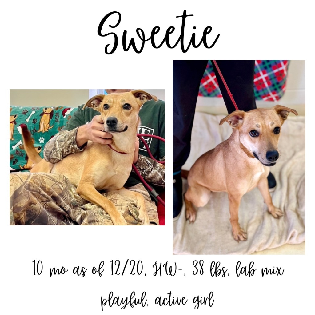 Sweetie